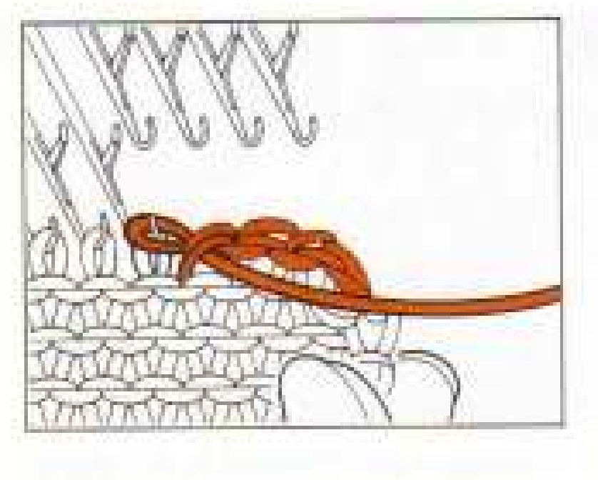 Neckline curve